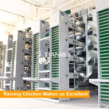 Tianrui venda quente automático sistema de coleta de ovos de galinha